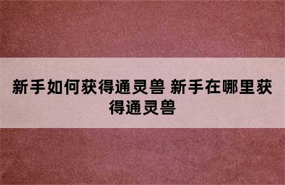 新手如何获得通灵兽 新手在哪里获得通灵兽